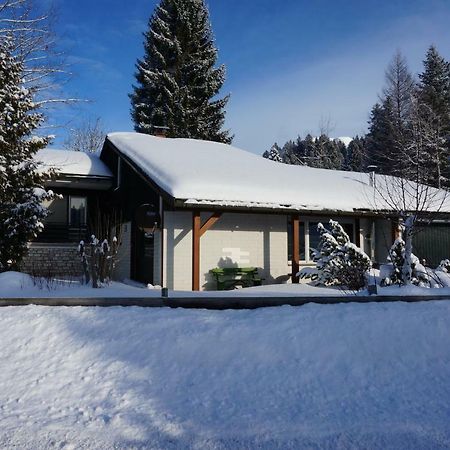 הוילה באד מיטרנדורף Haus Sonnenalm מראה חיצוני תמונה